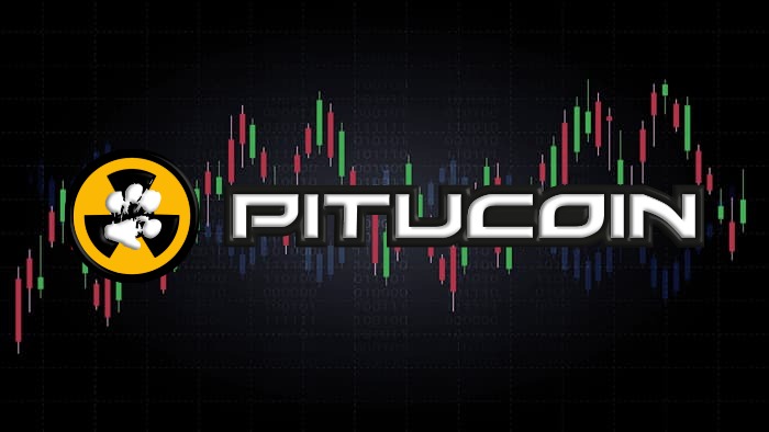 Pitucoin, o token BEP-20 do universo Radius